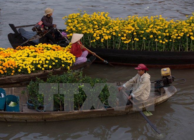 UNESCO លើកទឹកចិត្ត Can Tho អនុវត្តន៍រូបសណ្ឋានទេសចរណ៍សហគមន៍